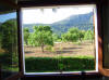 the view from my bedroom window in the Villa [far from the 'madding crowd']