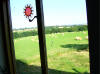 the view from my bed as I woke up on a sunny morning - 13/7/06
